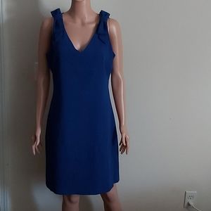 Size 6 Egyptian Blue Sleeveless A-Line Dress